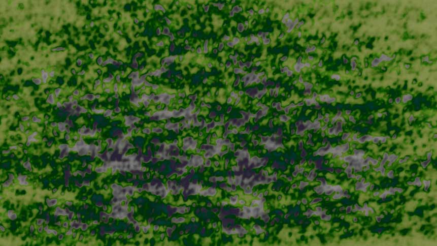 glitch type: TV title: SESCTUID