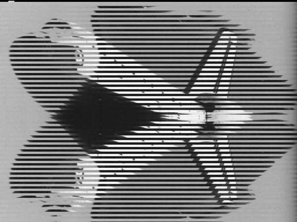 [40K]