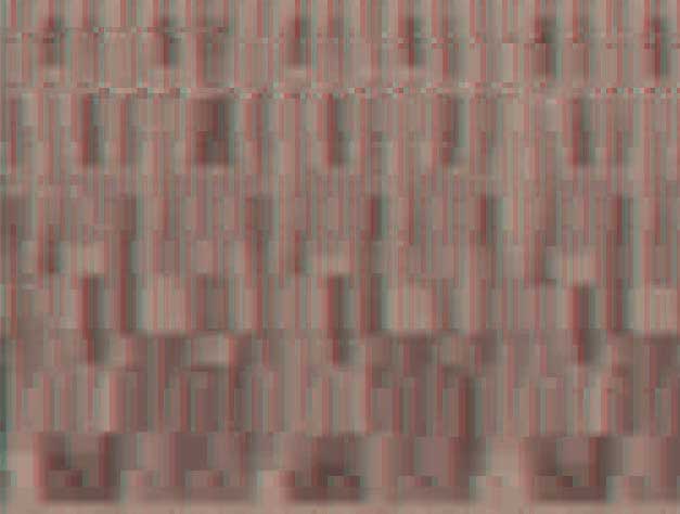 glitch type: EMU/RASTER title: CORLJJN