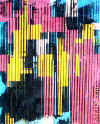 RASTER (2005)